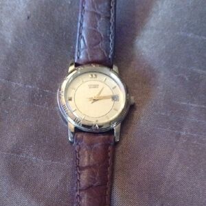 Citizen Silver and Brown Leather Watch